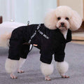 White poodle wearing a black full-body dog jumpsuit with text on the side, standing indoors on carpet