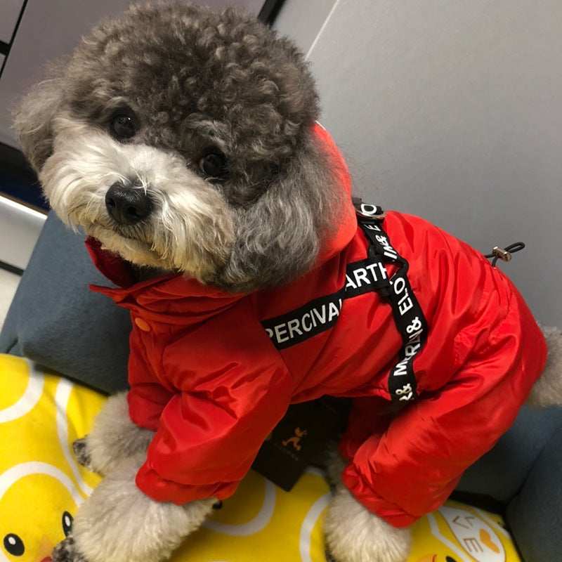 Hundeweste mit Geschirr Modell "Merlin"