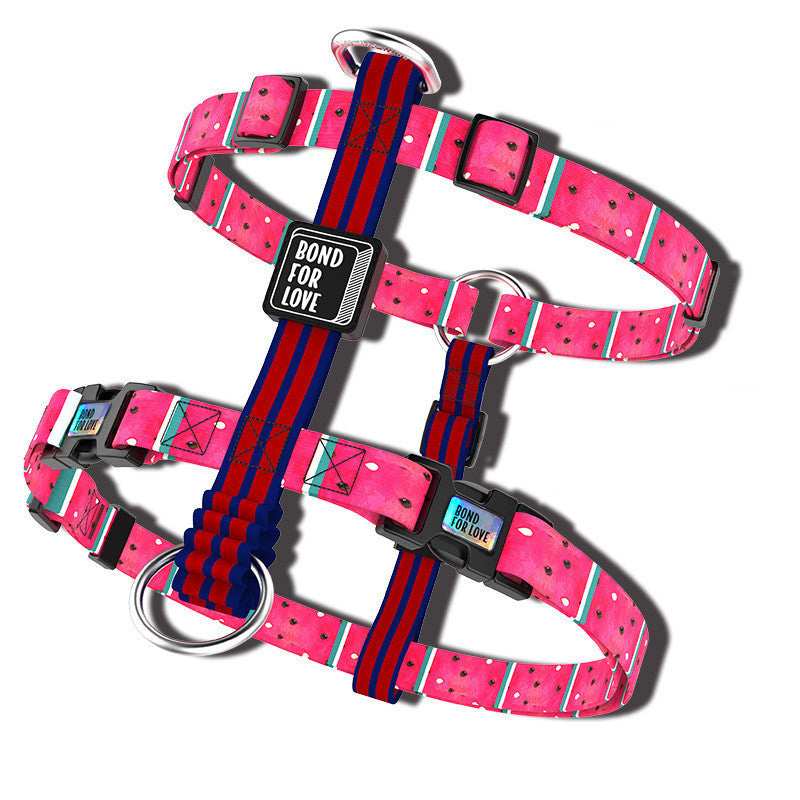 Pettorina "Wonderland" per Cani - Stile Accattivante e Massima Resistenza - Dog Moda
