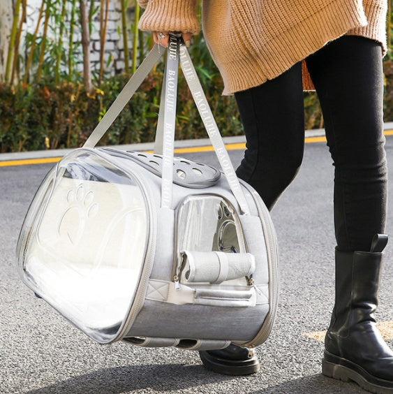 Dog Carrier Backpack "Baolujie"