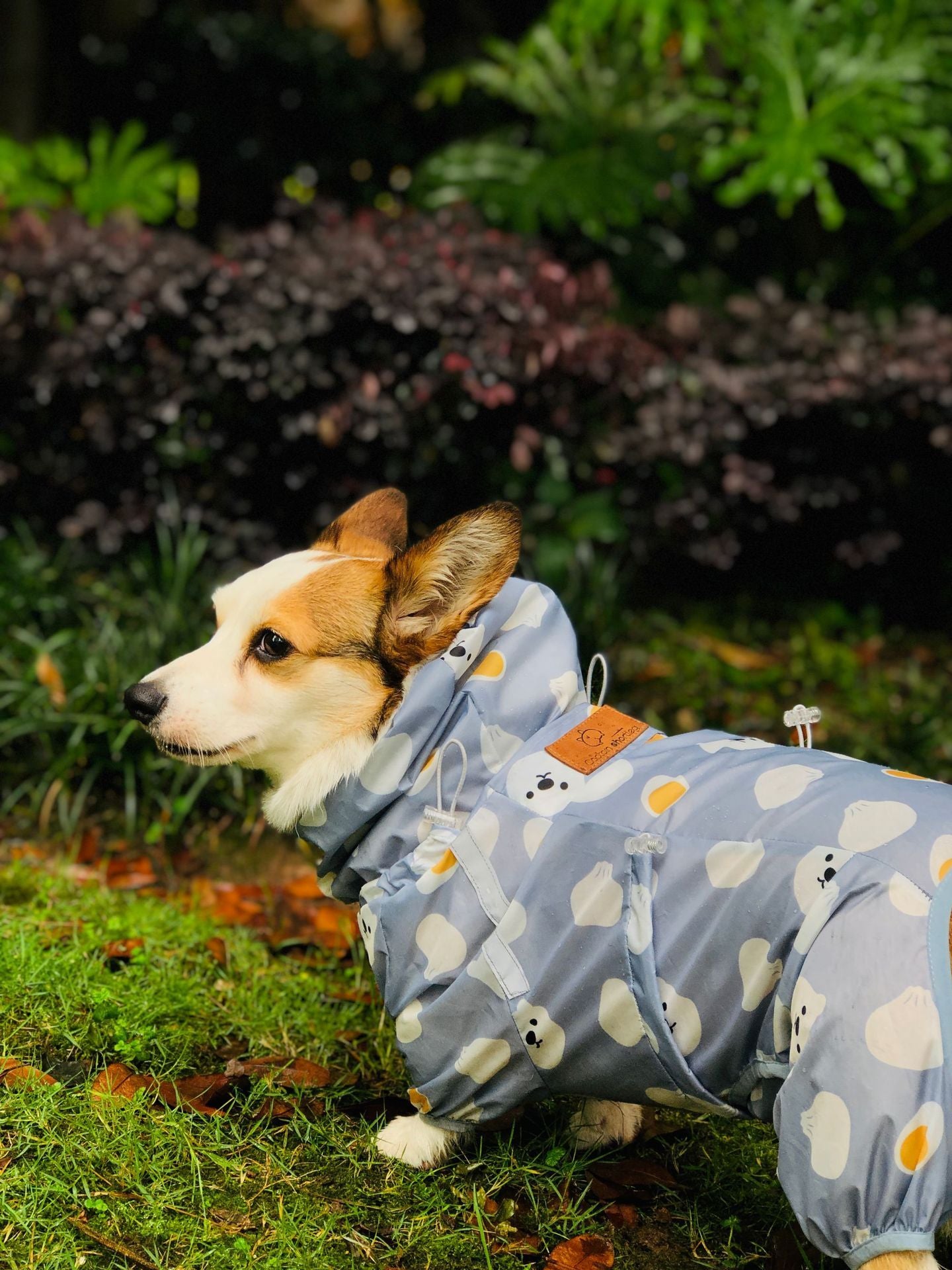 Raincoat for dogs, Gorgi and Golden Retriver "Polar Bear" - Captain