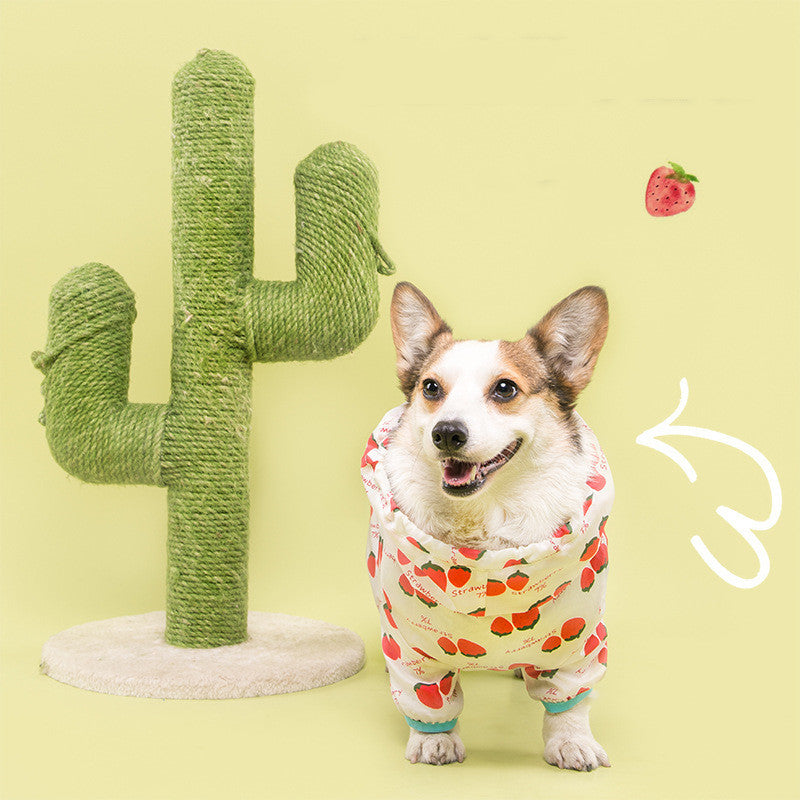 Raincoat for dogs, Gorgi and Golden Retriver "Polar Bear" - Captain