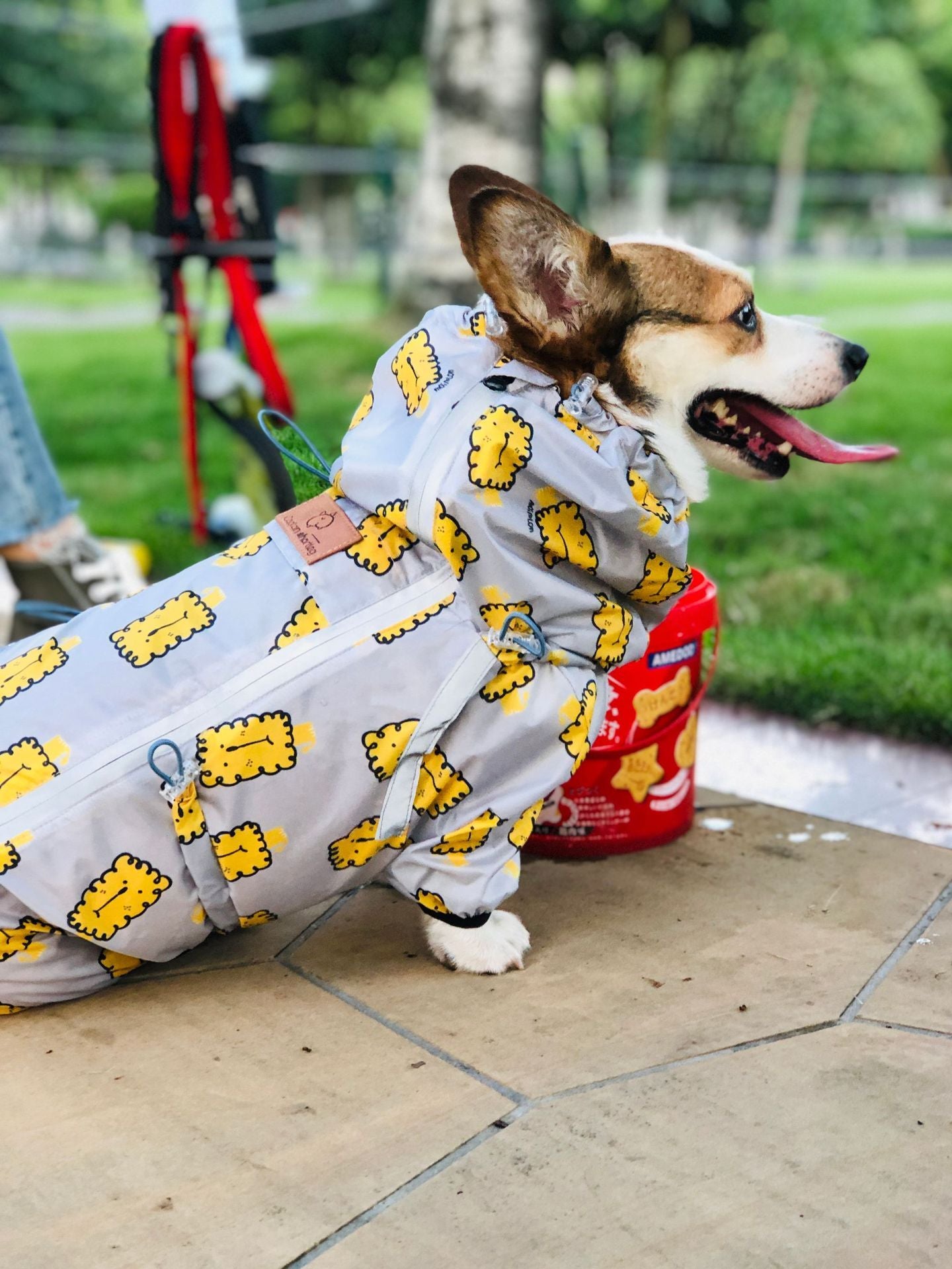 Raincoat for dogs, Gorgi and Golden Retriver "Polar Bear" - Captain