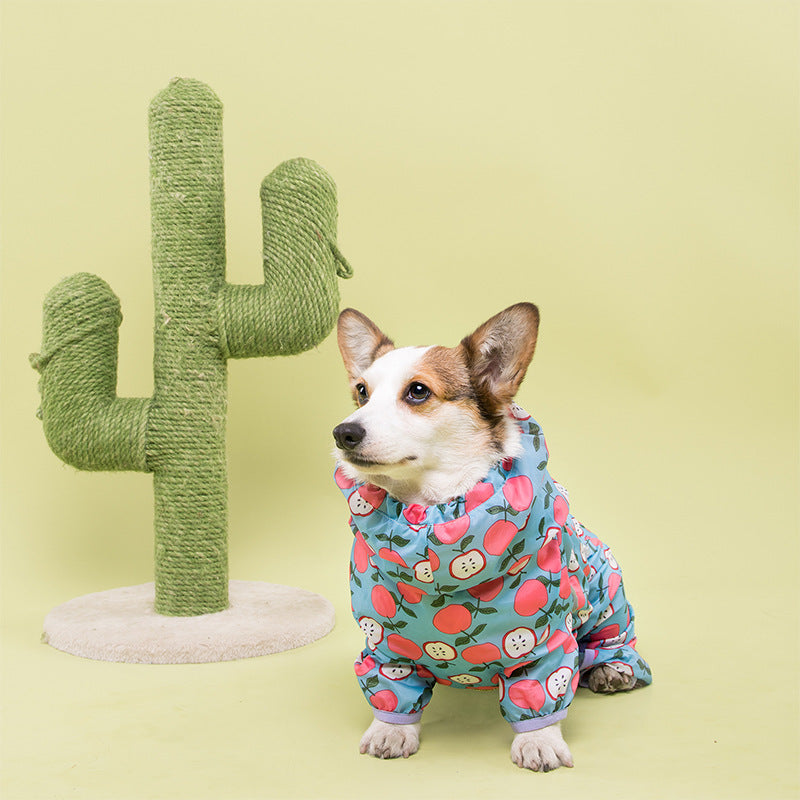 Raincoat for dogs, Gorgi and Golden Retriver "Polar Bear" - Captain