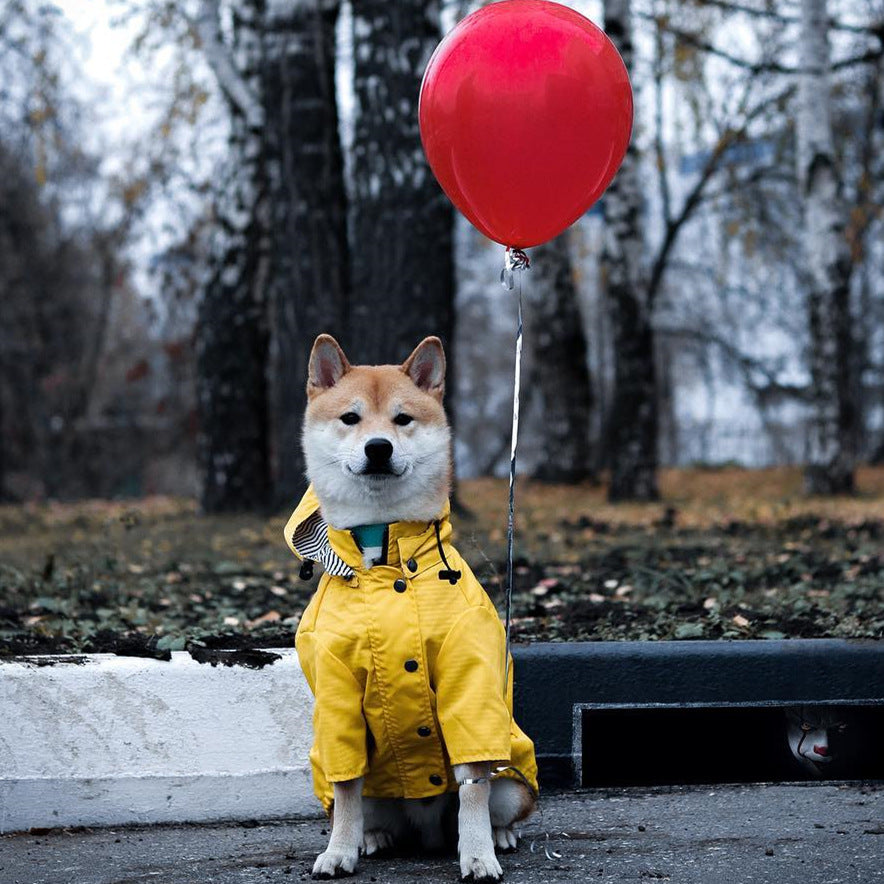 Raincoat for dogs and Dachshund "Hilo"