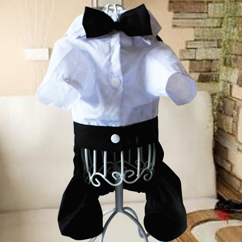 Chihuahua "Iris" Dog Ceremony Dress
