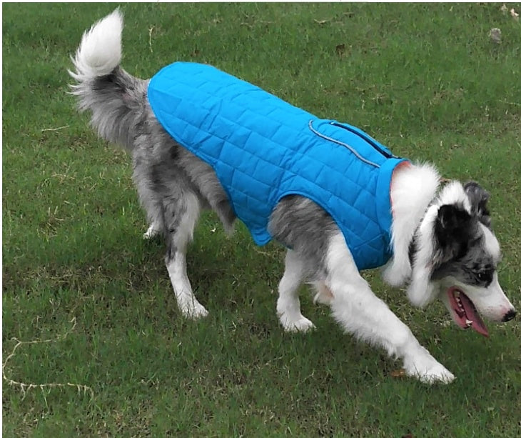 Piumino Impermeabile per Cani Smanicato - Modello Electro