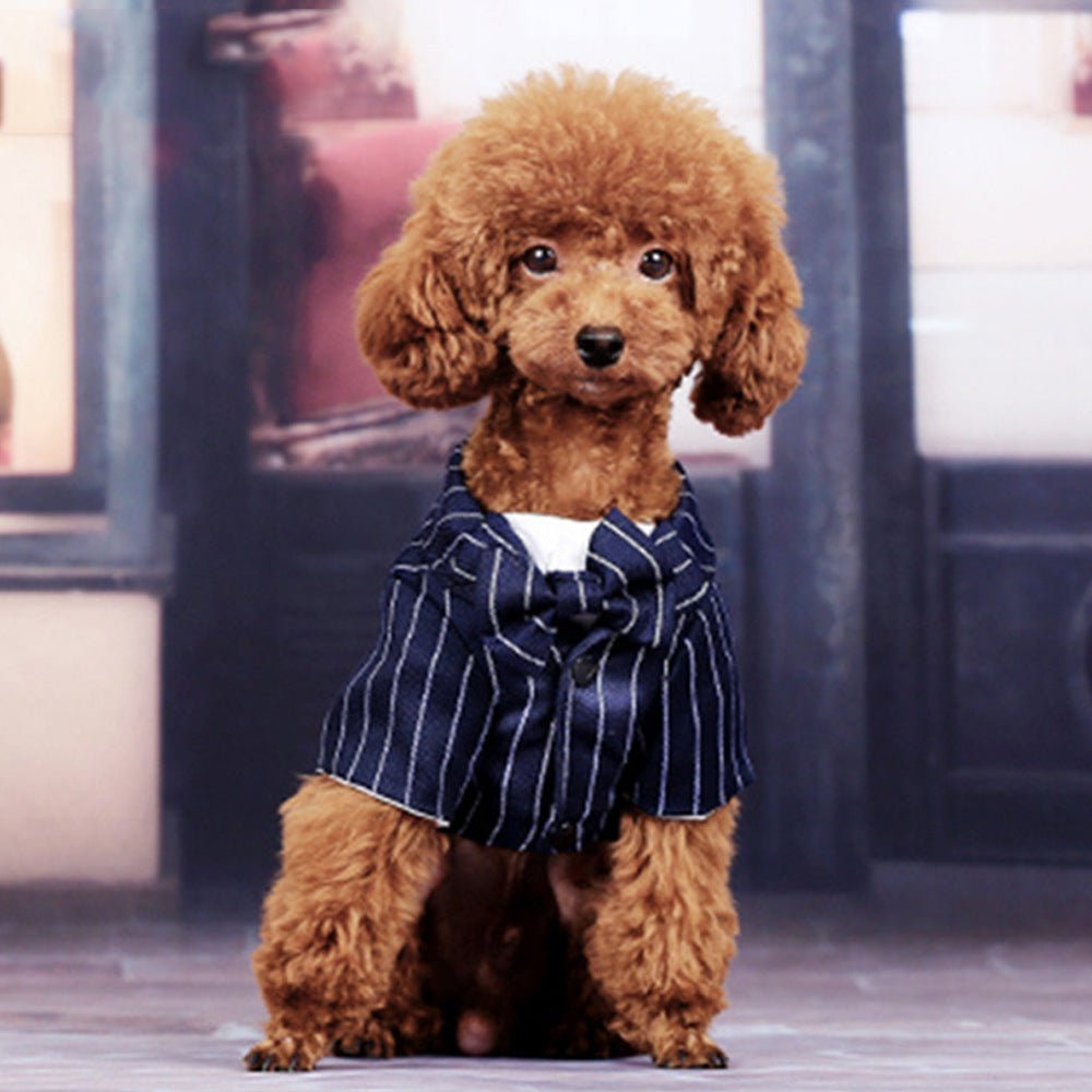 Dog Formal Pinstripe Suit - Hoopet