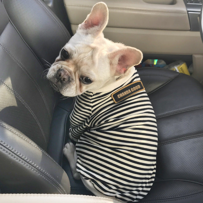 Striped T-Shirt for Small Dogs – Brand "Chanda Good"