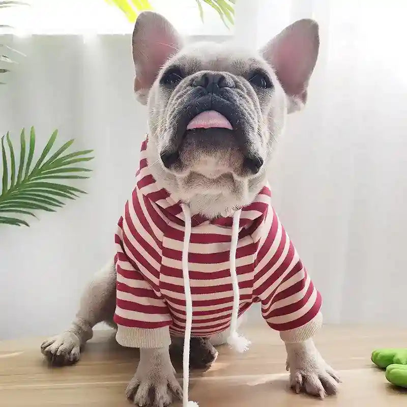 Dog Owner Matching Hoodie | Matching Striped Hoodie  Dog Moda