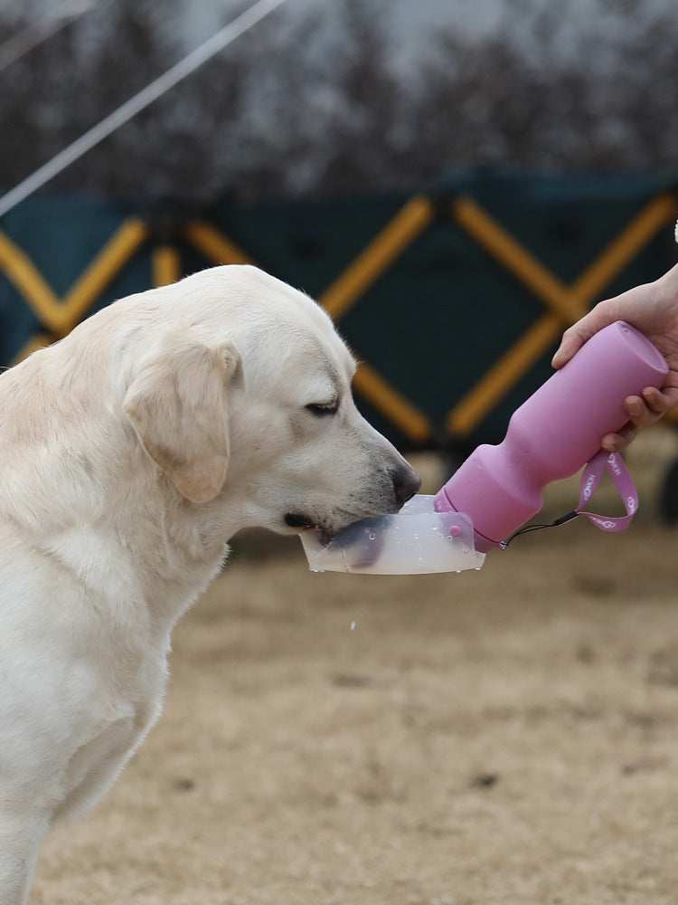 Resealable Dog Water Bottle - Perfect Hydration for Your Dog Anywhere