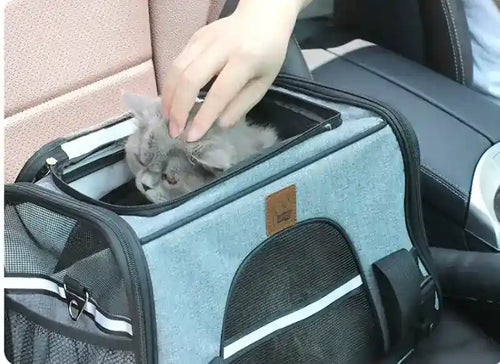 Borsone da Viaggio per Cani con Finestre in Rete