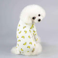 White poodle wearing white pajamas with yellow banana prints against gray background