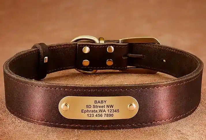 Collare e gunzaglo | Personalzed tems, Vareggo, Dogs Collare e gunzaglo | Personalzed tems, Vareggo, Dogs