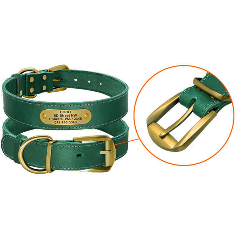 Personalisiertes Lederhalsband mit Anhänger für mittelgroße und große Hunde