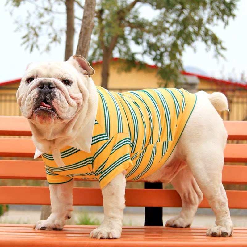 Cotton Polo Shirt for Bulldog and Welsh Corgi "Caddy" - Style and Comfort for Large Dogs
