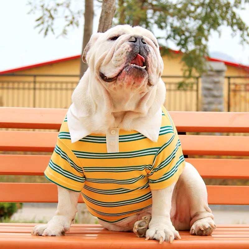 Cotton Polo Shirt for Bulldog and Welsh Corgi "Caddy" - Style and Comfort for Large Dogs