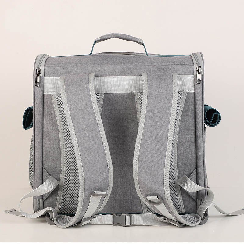 PetTex Dog and Cat Carrier