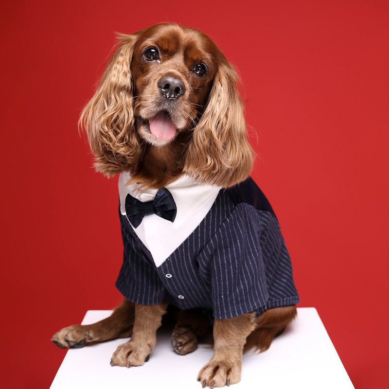 Dog Ceremony Dress Milan