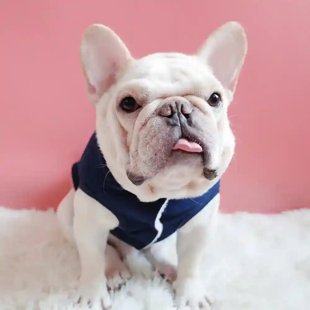 Abrigo Huddle sin mangas para perros - Botones arnés