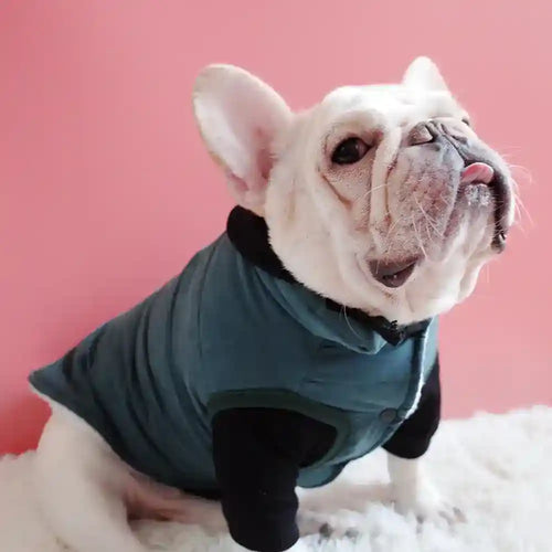 Huddle Vest Dog Coat - Buttoned Harness