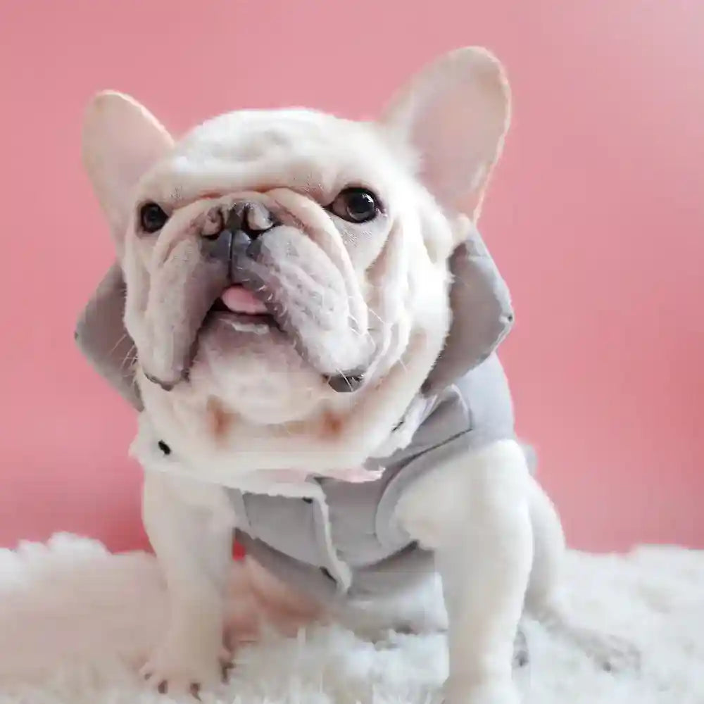 Abrigo Huddle sin mangas para perros - Botones arnés