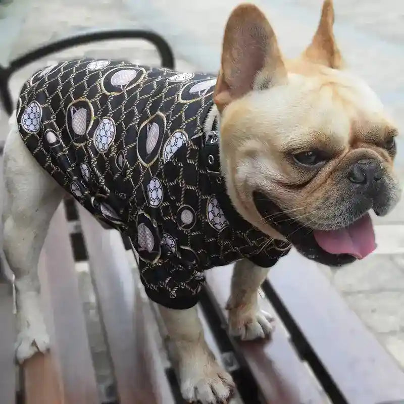 Felpa Jewelry per Cani Bulldog - Abbigliamento Elegante by Dog Moda