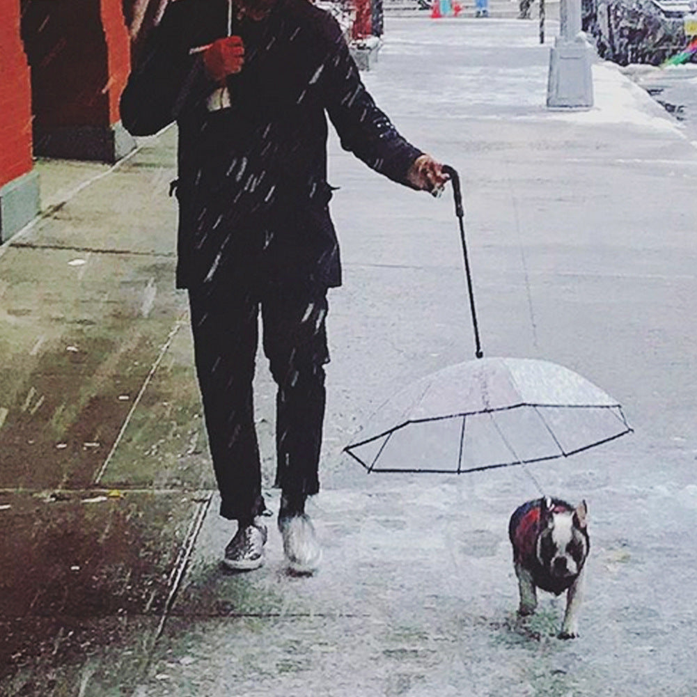 Dog Umbrella with Integrated Leash – Protection and Comfort for Little Friends