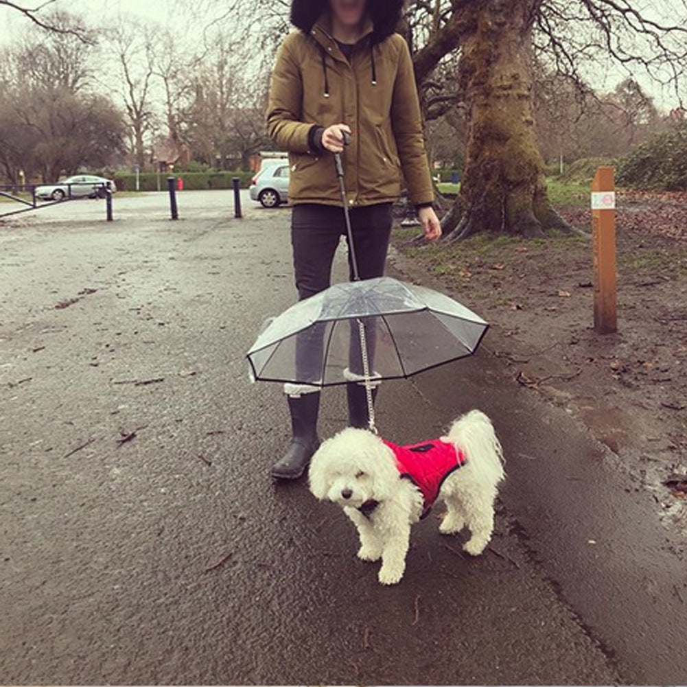 Dog Umbrella with Integrated Leash – Protection and Comfort for Little Friends