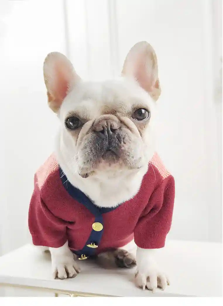 Maglione Bulldog Bottoni - Rabbit Fleece Caldo by Dog Moda