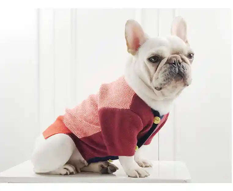 Maglione Bulldog Bottoni - Rabbit Fleece Caldo by Dog Moda