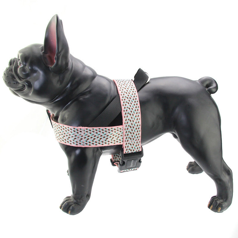 "Arien" Harness, Collar and Leash Set – Maximum Safety and Style