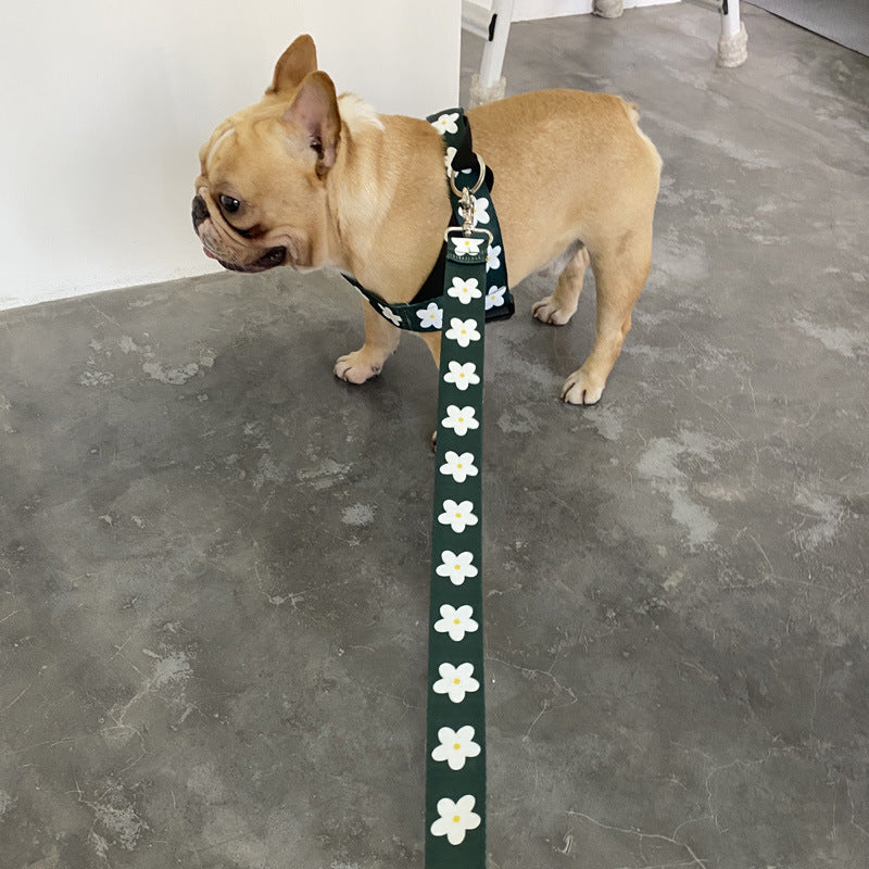 Daisy Harness and Leash Set – Comfort and Style for Your Dog