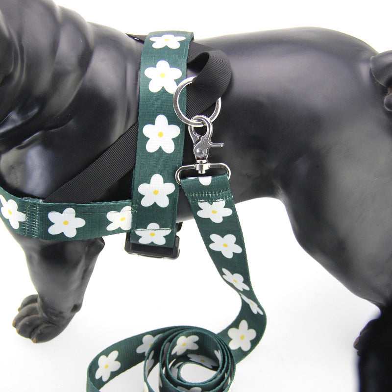 Daisy Harness and Leash Set – Comfort and Style for Your Dog