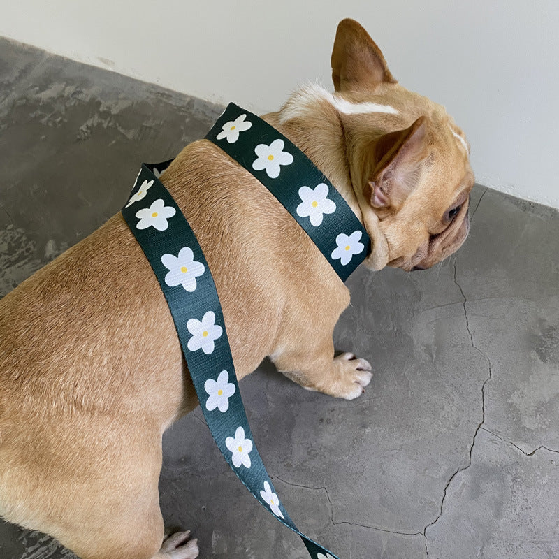 Daisy Harness and Leash Set – Comfort and Style for Your Dog