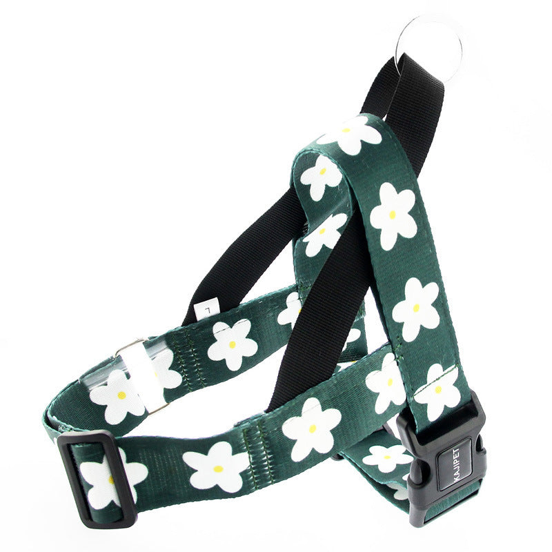 Daisy Harness and Leash Set – Comfort and Style for Your Dog