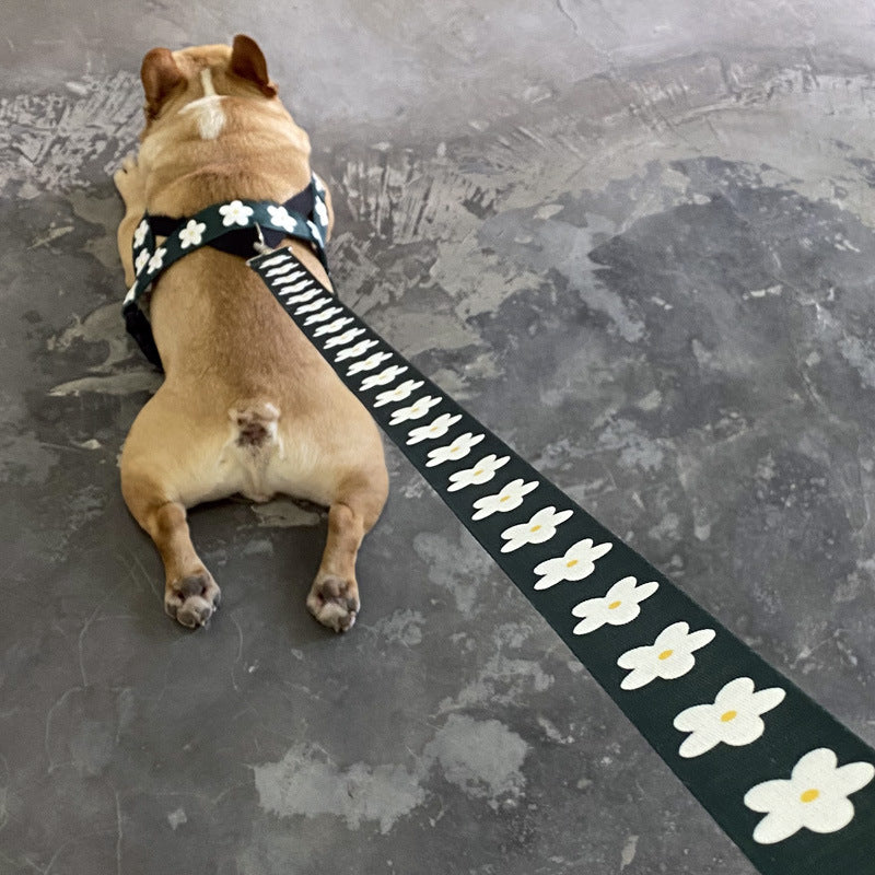 Daisy Harness and Leash Set – Comfort and Style for Your Dog