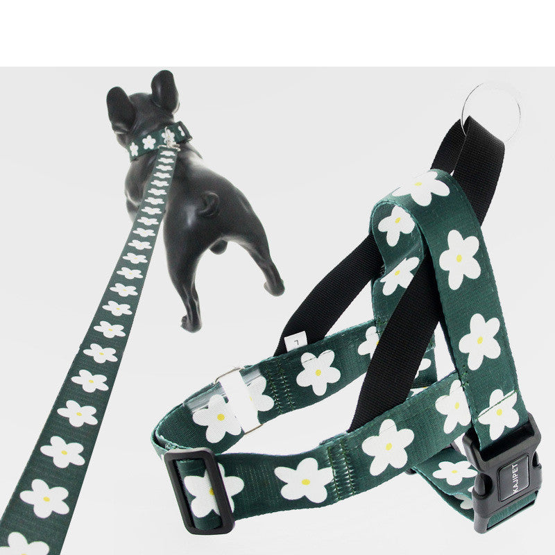 Daisy Harness and Leash Set – Comfort and Style for Your Dog