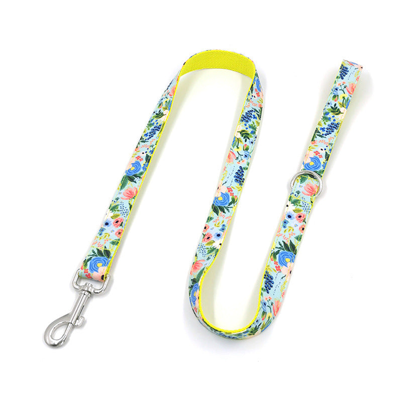 "Andy Warhol" Dog Collar and Leash Set