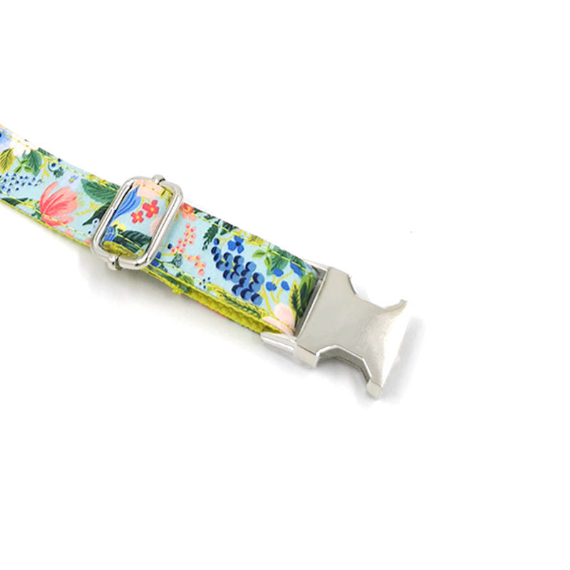 "Andy Warhol" Dog Collar and Leash Set
