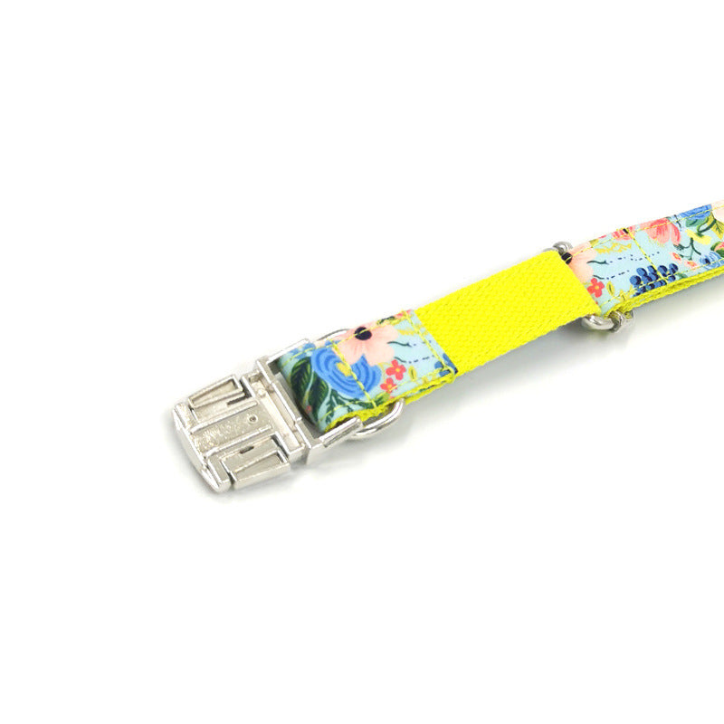 "Andy Warhol" Dog Collar and Leash Set