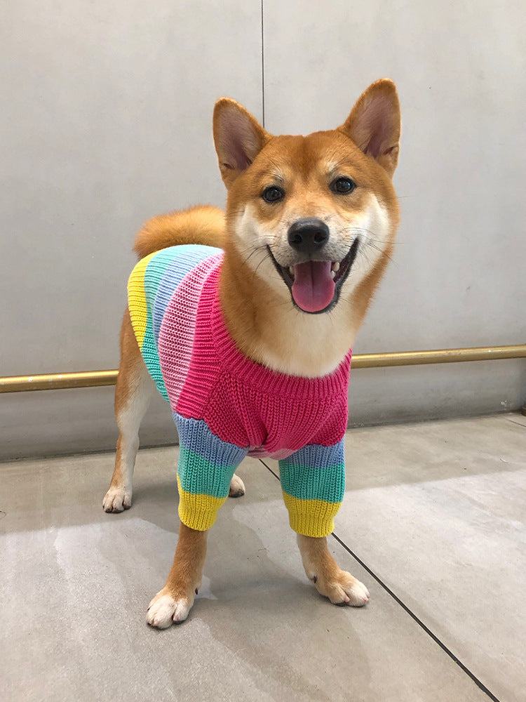 Dog Sweater "Rainbow" - Cheepet