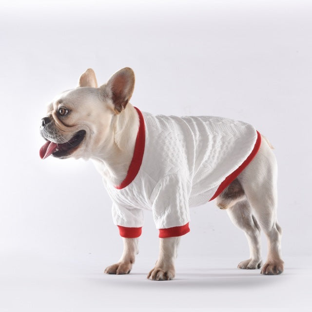 Maglioncino per Bulldog Bianco con Dettagli Rossi - Eleganza e Comfort per l'Inverno