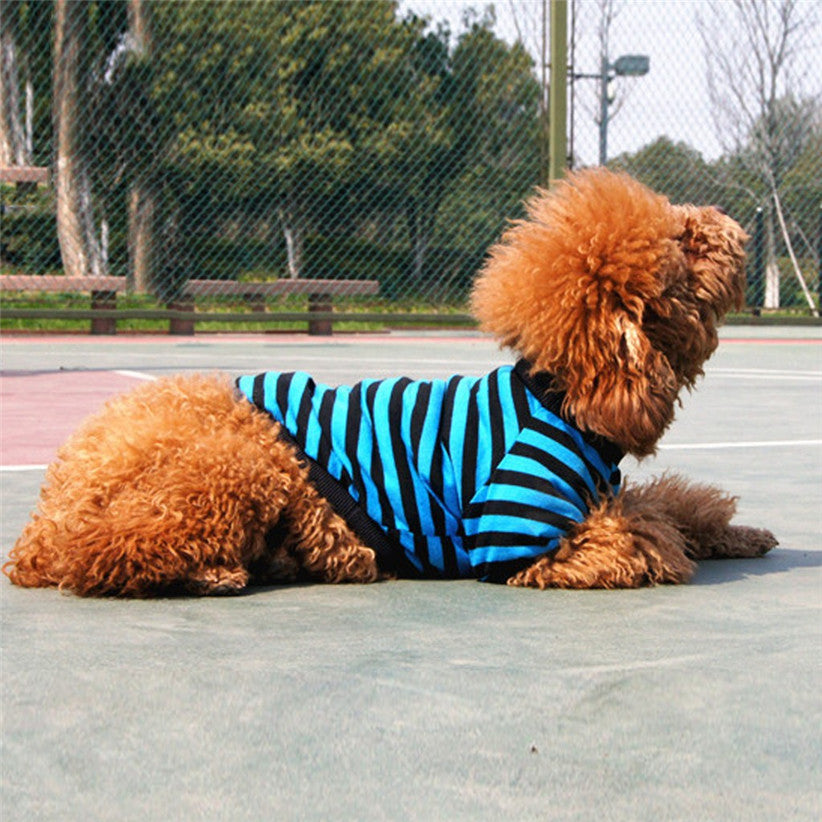 Maglia a Righe per Cani Invernale in Poliestere Caldo