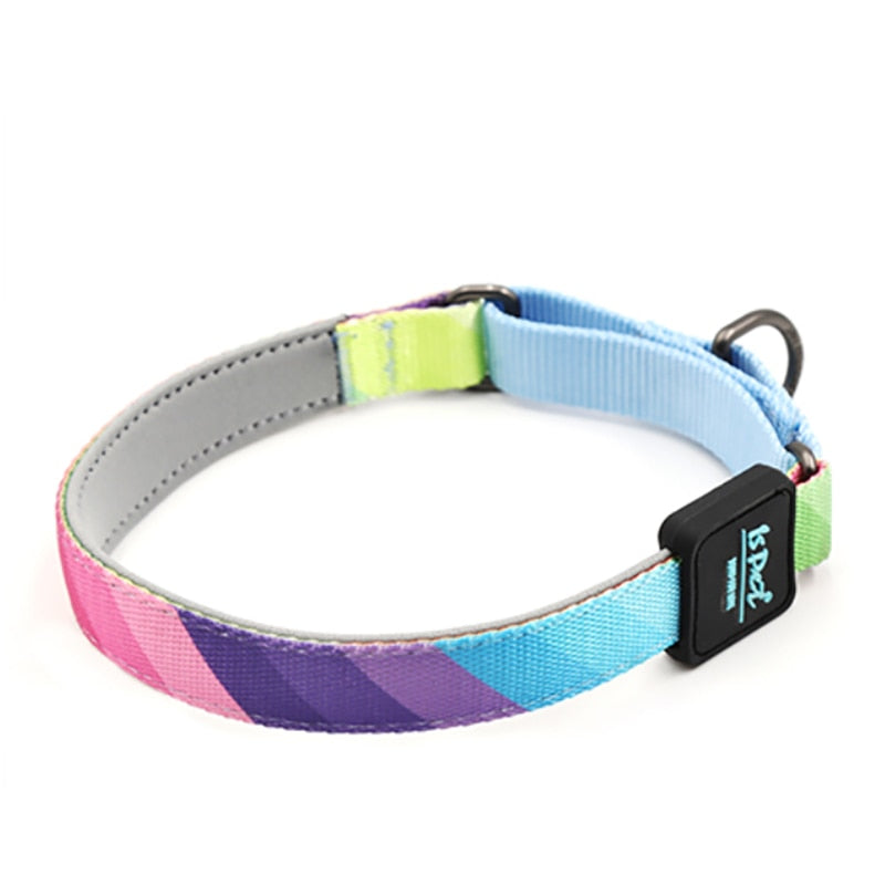Collare Cane con Catena in Poliestere Resistente