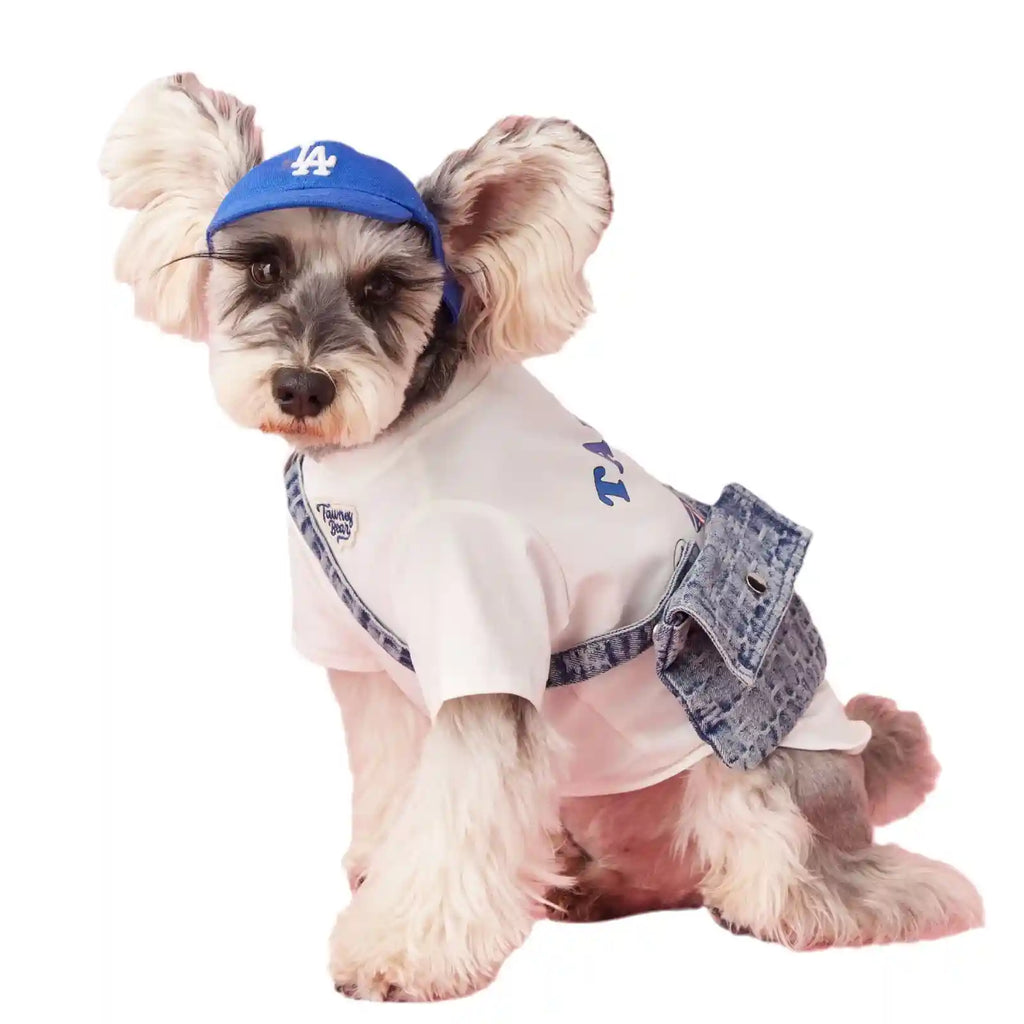 刺繍入りタウニーベア犬用セーター - 犬の服