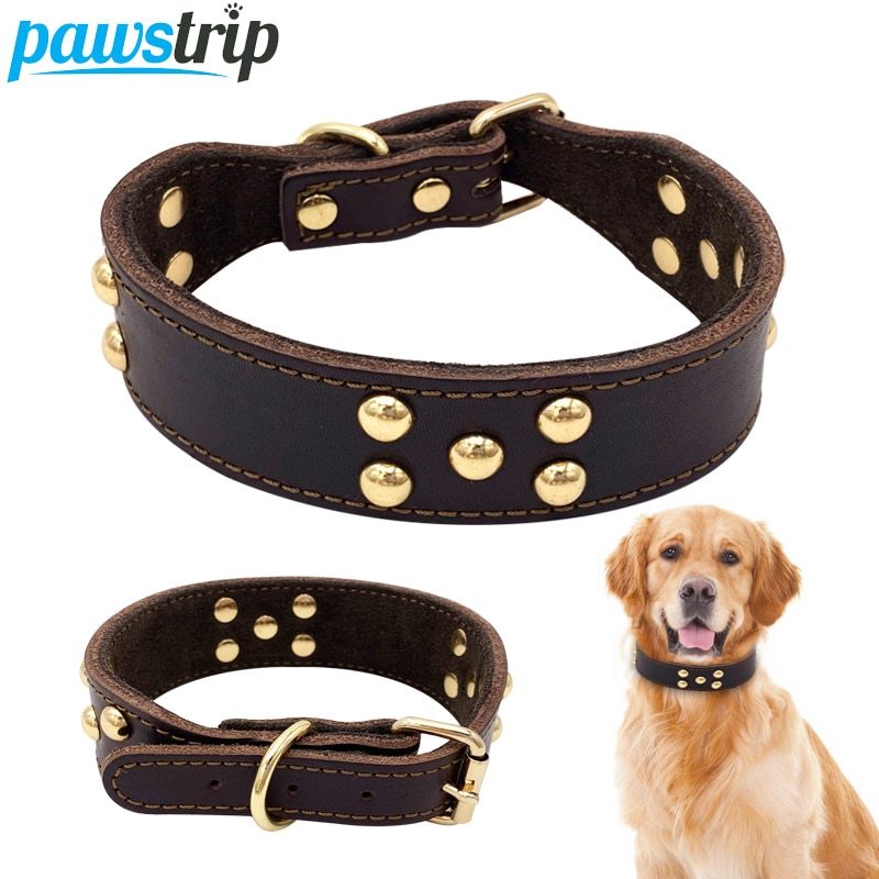 "Pawstrip" Studded Leather Dog Collar - Stylish &amp; Durable