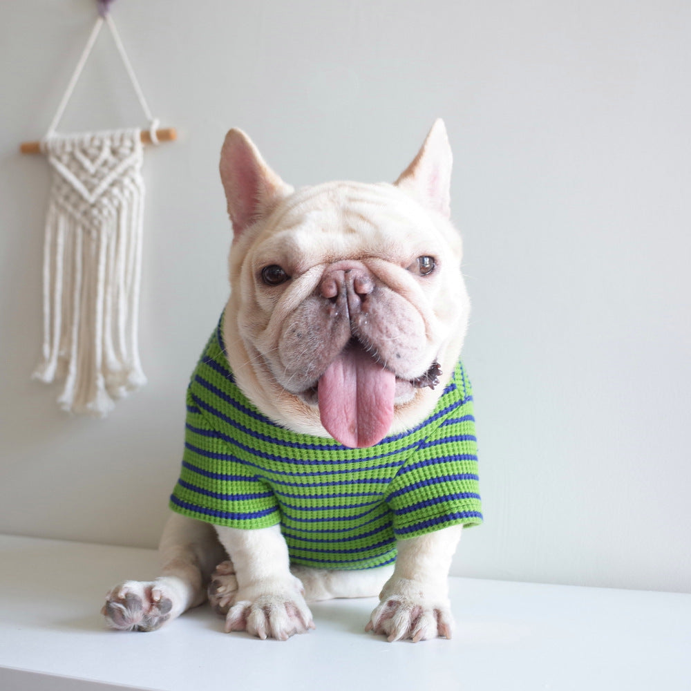 Green and Blue Striped Cotton Dog T-Shirt "New Fashion"