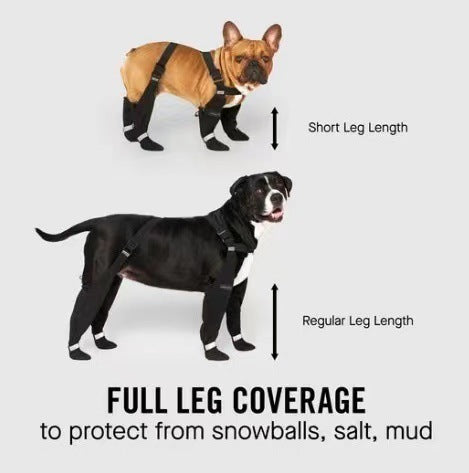 Waterproof Dog Shoes with Elastic Strap and Reflective Details