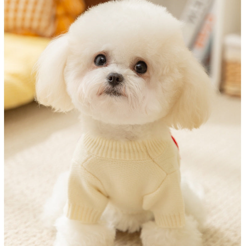 Maglione APPLE per Cani - Bianco con Ricamo e Smile